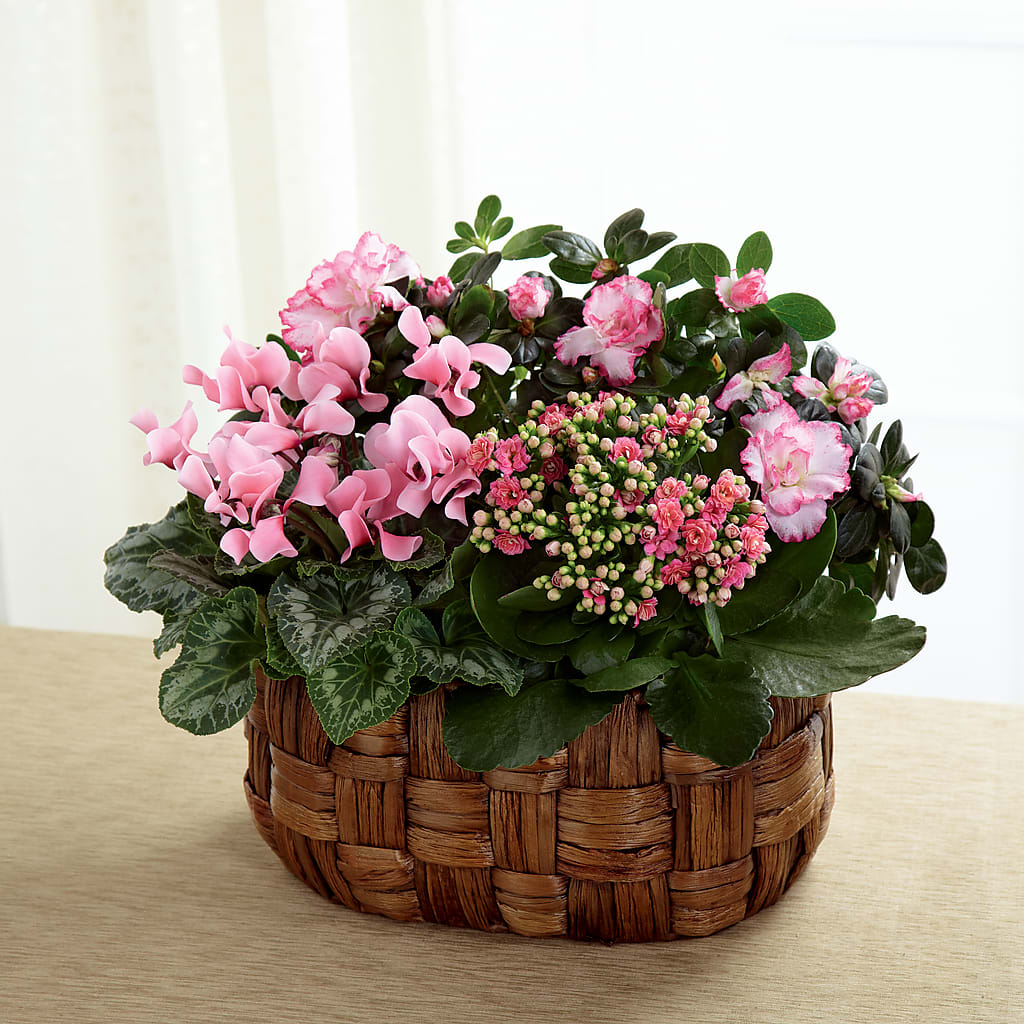 Pink Assortment – TOWN CENTER FLORIST & GIFTS INC, Orlando FL