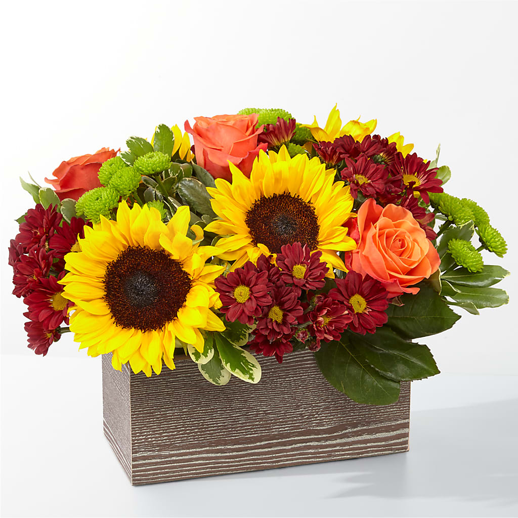 Happy Harvest Garden – TOWN CENTER FLORIST & GIFTS INC, Orlando FL
