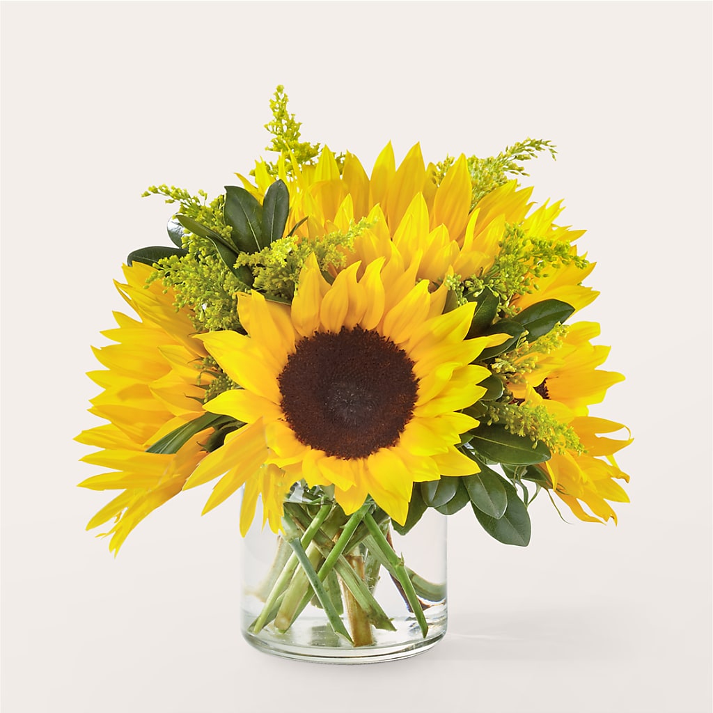 Beaming Sunflower Bouquet – TOWN CENTER FLORIST & GIFTS INC, Orlando FL