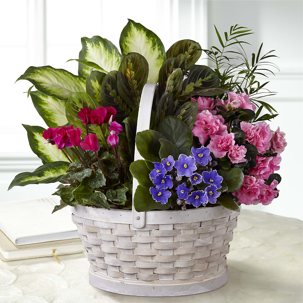 Peaceful Garden Planter – TOWN CENTER FLORIST & GIFTS INC, Orlando FL