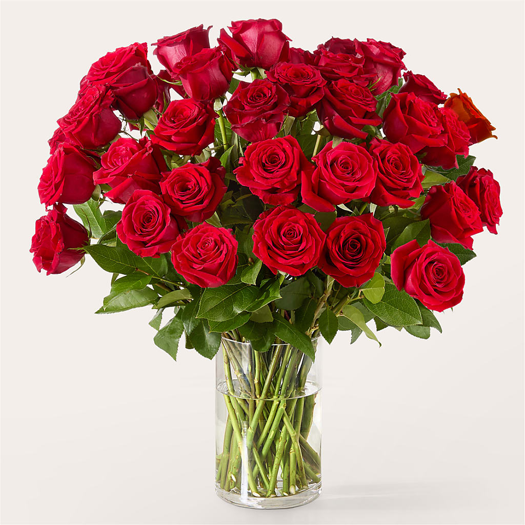 The One Red Rose Bouquet – TOWN CENTER FLORIST & GIFTS INC, Orlando FL