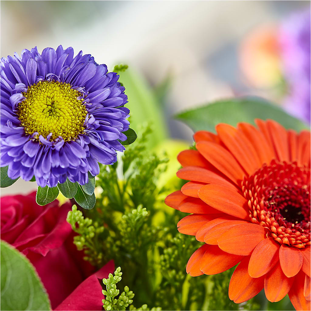 Bold & Bright – A Florist Original – TOWN CENTER FLORIST & GIFTS INC, Orlando FL