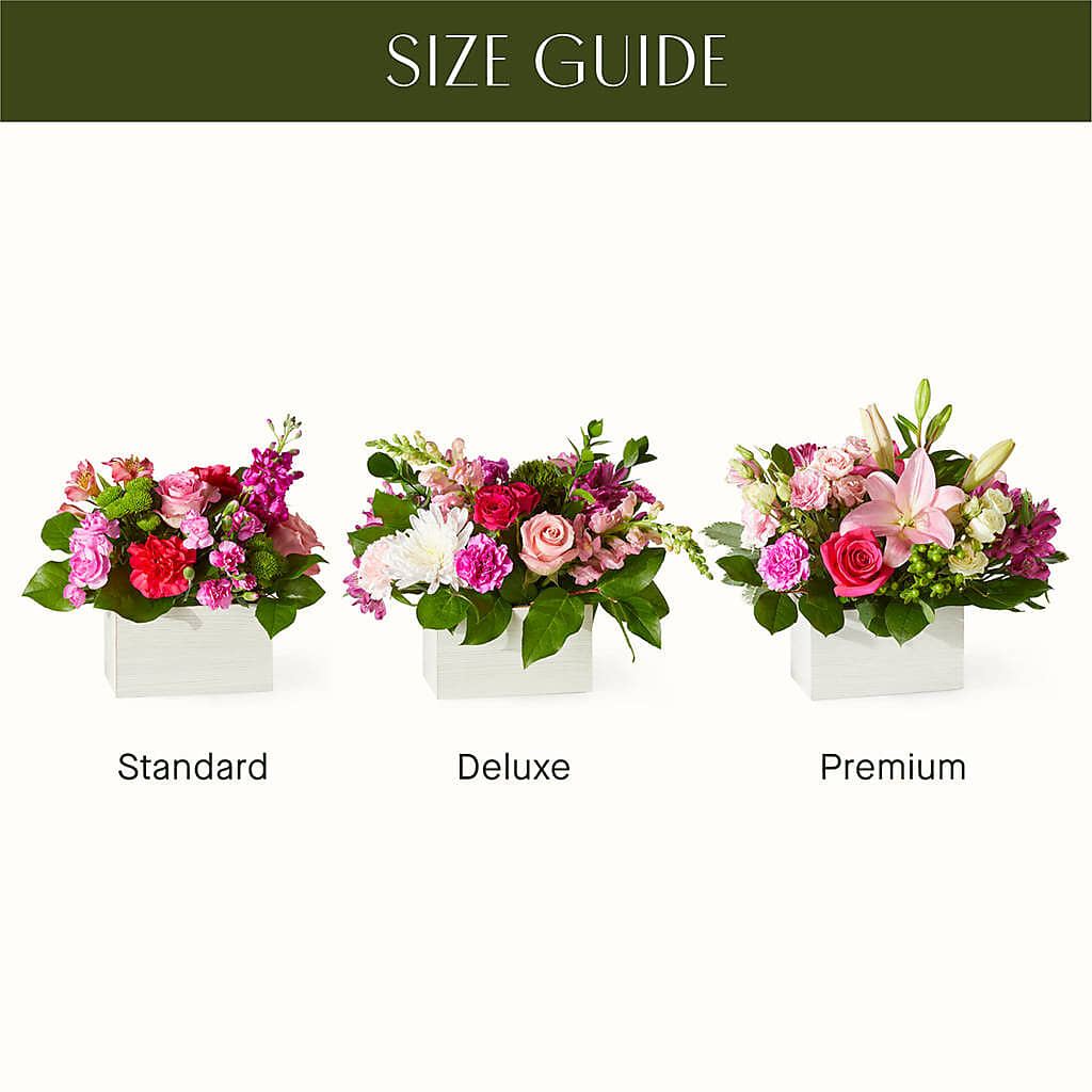 Sweetberry Box – A Florist Original – TOWN CENTER FLORIST & GIFTS INC, Orlando FL