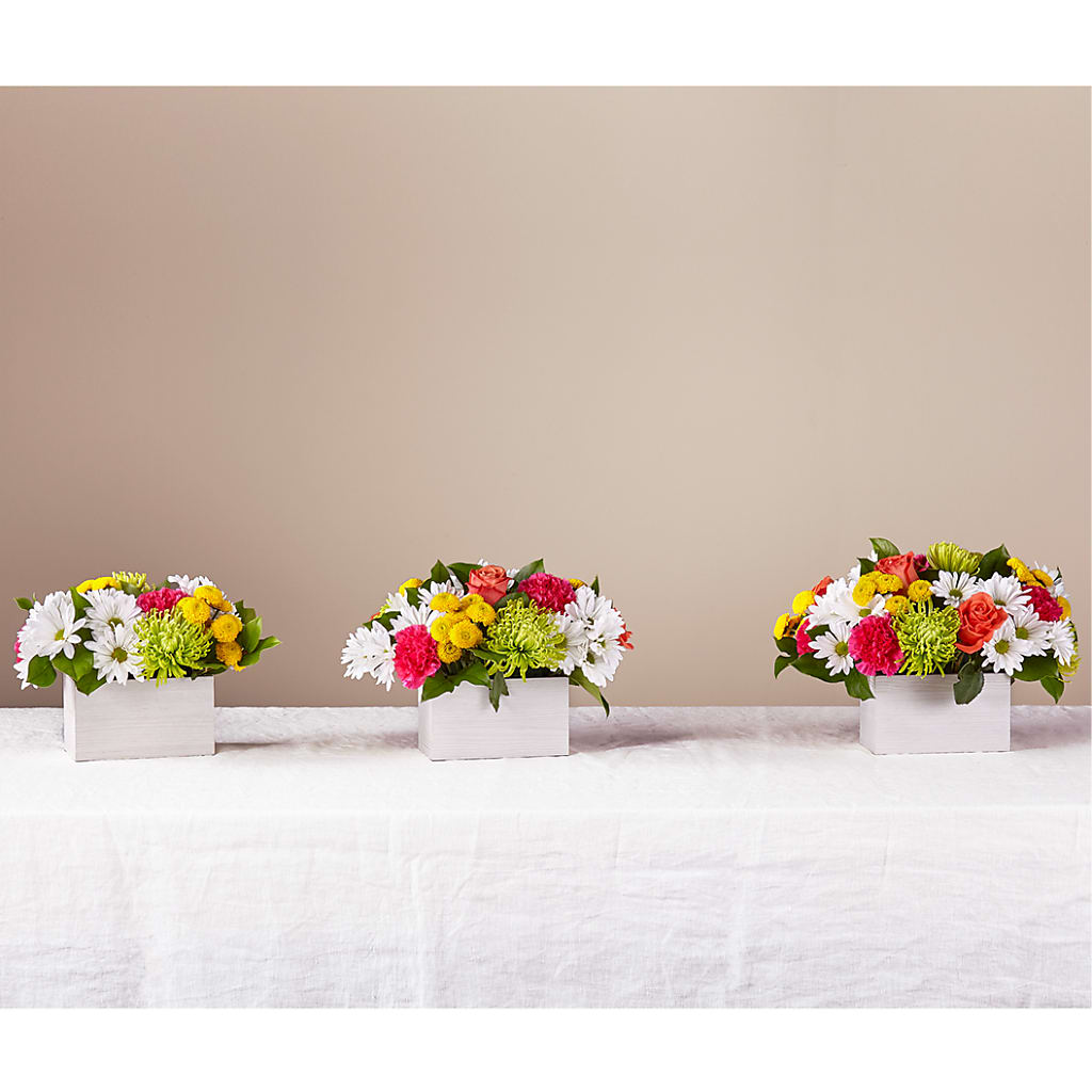Sorbet Bouquet – TOWN CENTER FLORIST & GIFTS INC, Orlando FL