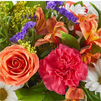 Oopsie Daisy Box Bouquet – TOWN CENTER FLORIST & GIFTS INC, Orlando FL