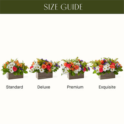 Oopsie Daisy Box Bouquet – TOWN CENTER FLORIST & GIFTS INC, Orlando FL