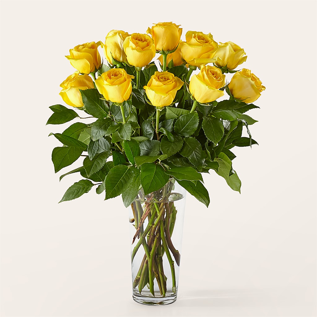 Long Stem Yellow Rose Bouquet – TOWN CENTER FLORIST & GIFTS INC, Orlando FL
