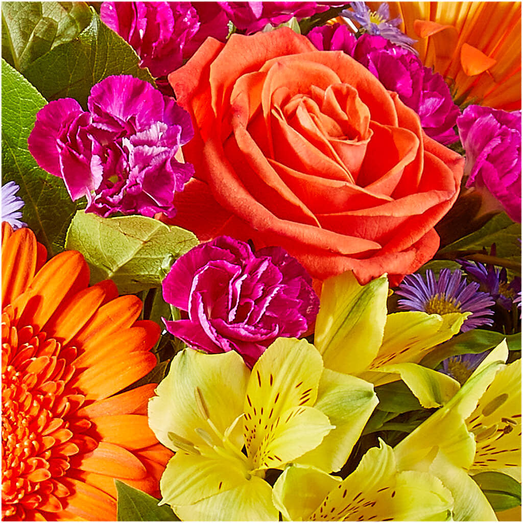 Tricks & Treats Pumpkin – TOWN CENTER FLORIST & GIFTS INC, Orlando FL