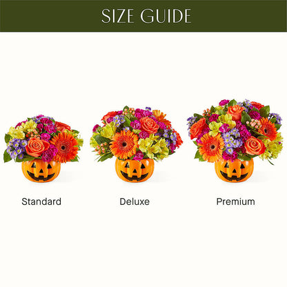 Tricks & Treats Pumpkin – TOWN CENTER FLORIST & GIFTS INC, Orlando FL