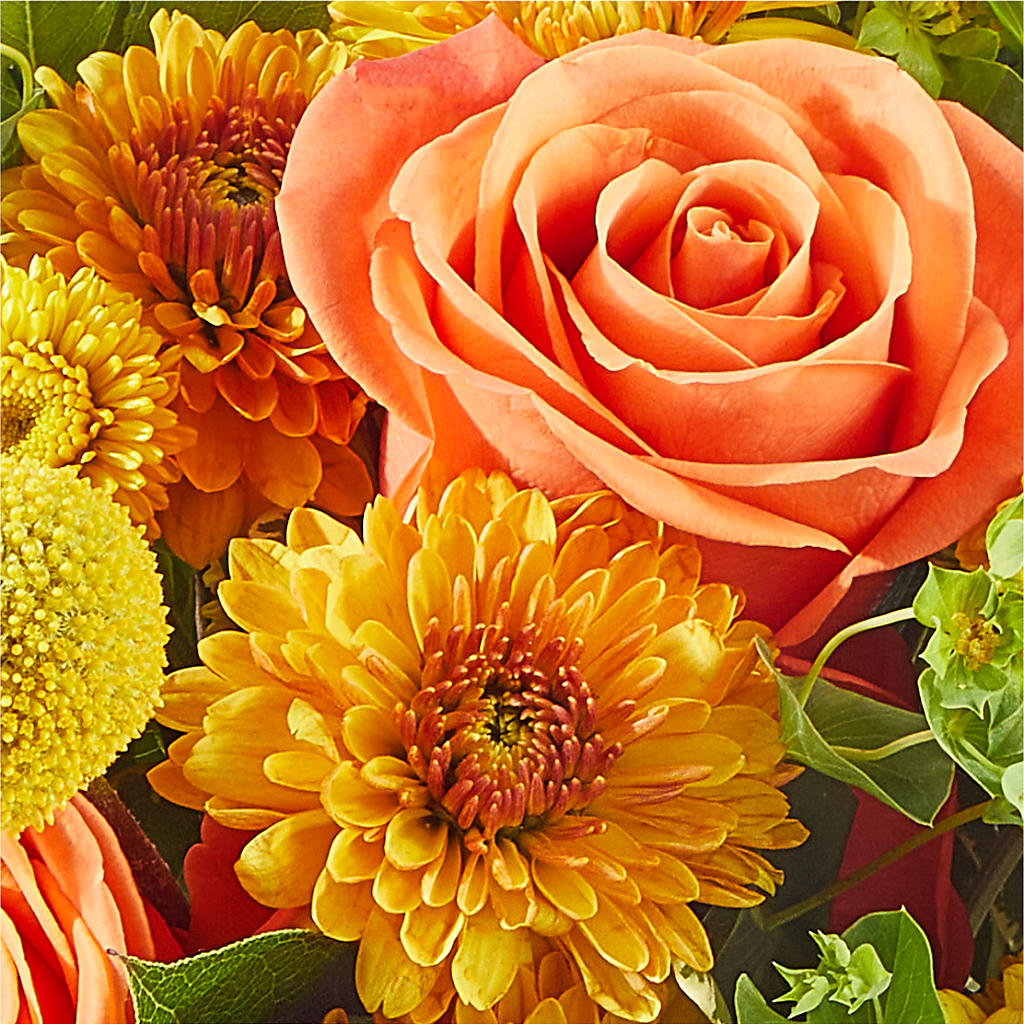 Gourdgeous Pumpkin – TOWN CENTER FLORIST & GIFTS INC, Orlando FL