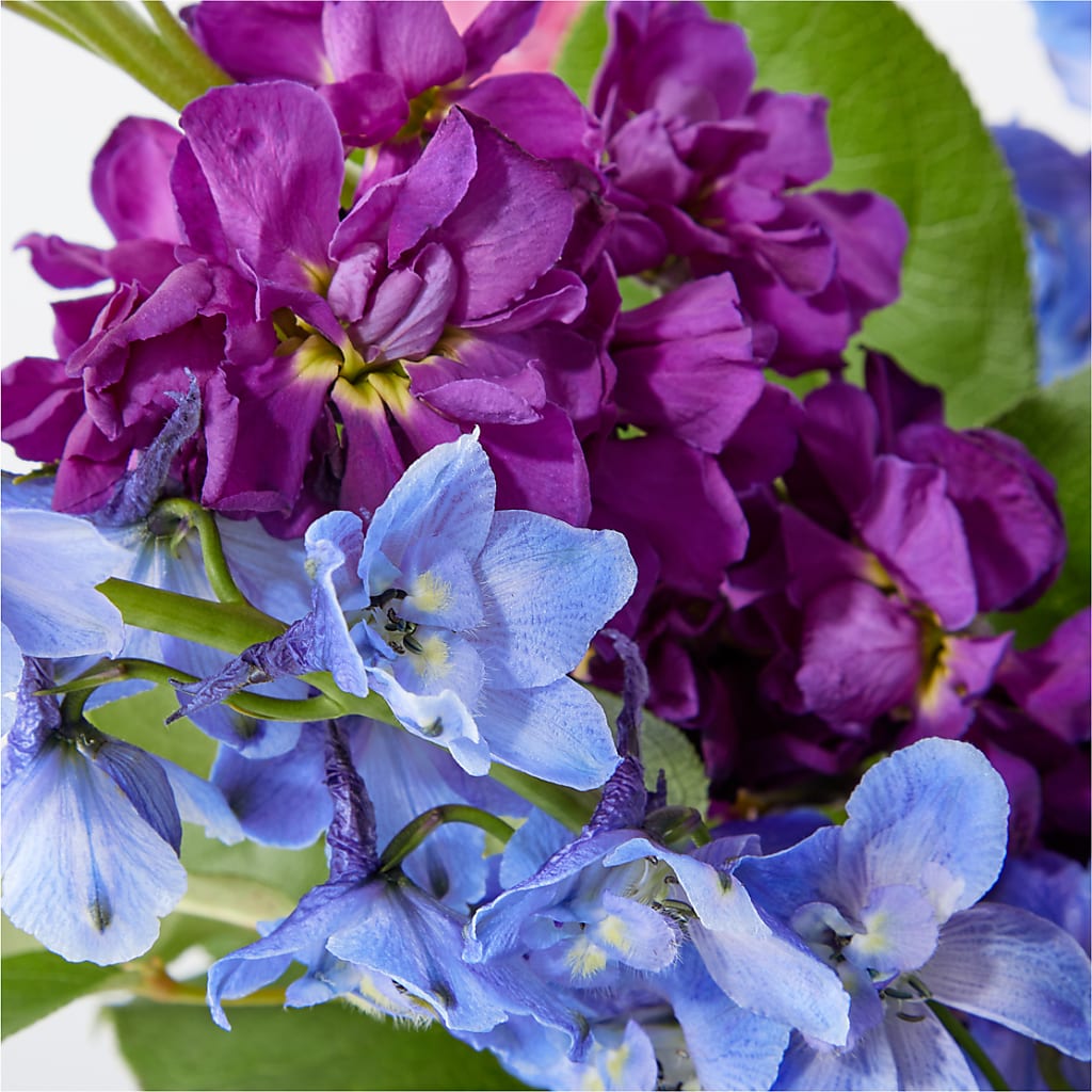 Twilight Glow Bouquet – TOWN CENTER FLORIST & GIFTS INC, Orlando FL