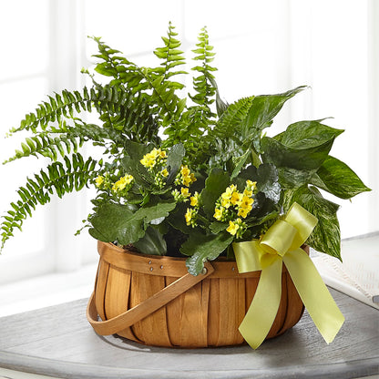 Always Dear Dishgarden – TOWN CENTER FLORIST & GIFTS INC, Orlando FL
