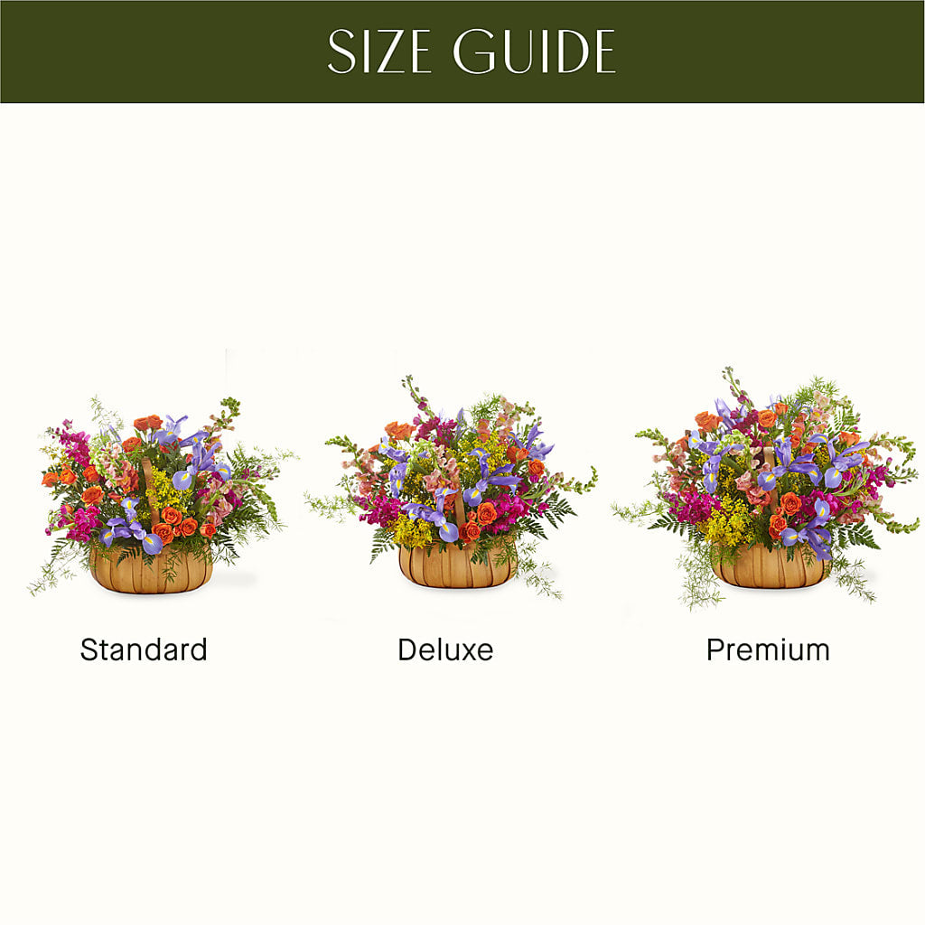 Garden of Life Basket – TOWN CENTER FLORIST & GIFTS INC, Orlando FL