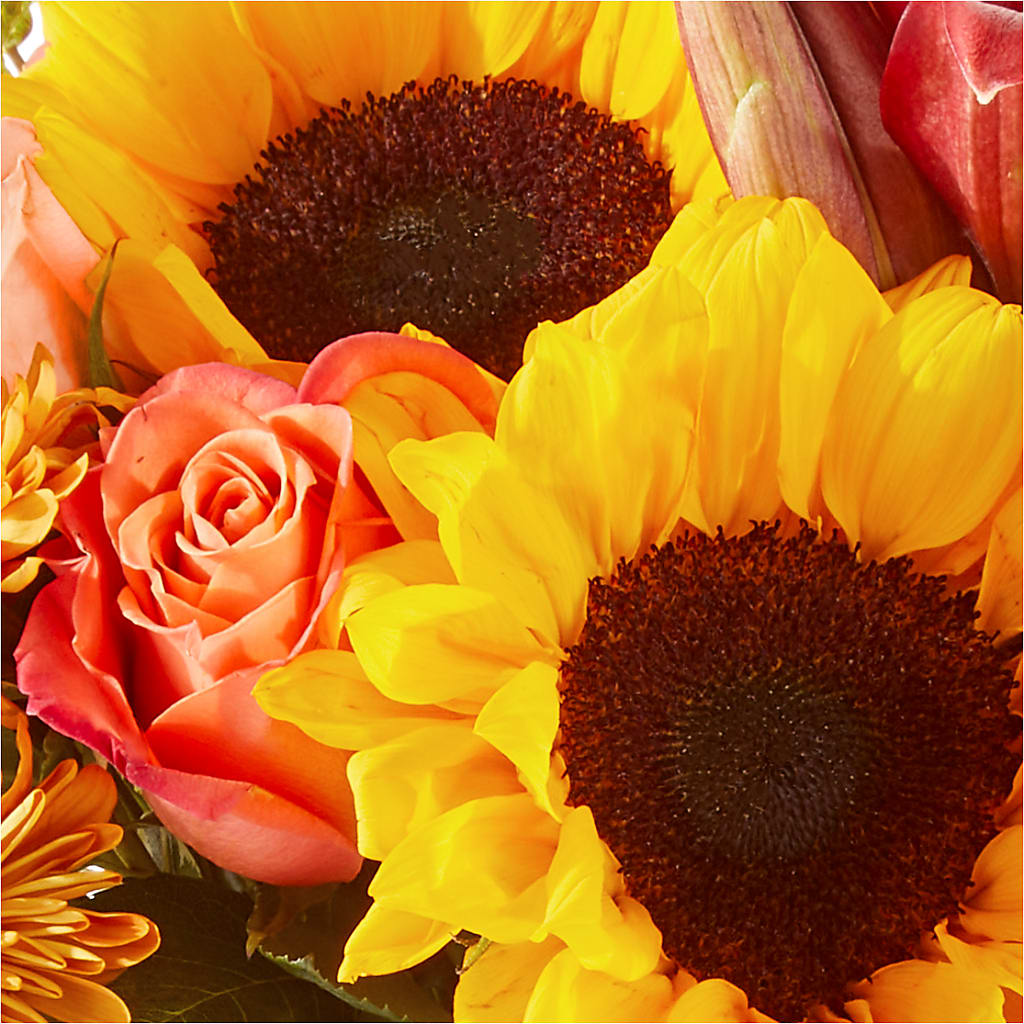 Acorn Lane Bouquet – TOWN CENTER FLORIST & GIFTS INC, Orlando FL