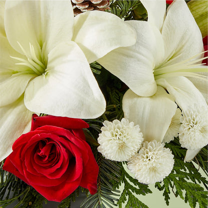 Seasonal Festivities Centerpiece – TOWN CENTER FLORIST & GIFTS INC, Orlando FL