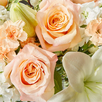 Darling Bouquet – TOWN CENTER FLORIST & GIFTS INC, Orlando FL