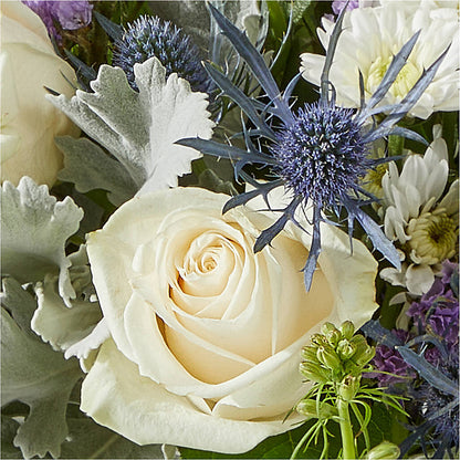 Shooting Star Bouquet – TOWN CENTER FLORIST & GIFTS INC, Orlando FL