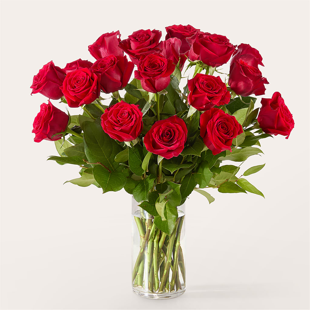 The One Red Rose Bouquet – TOWN CENTER FLORIST & GIFTS INC, Orlando FL