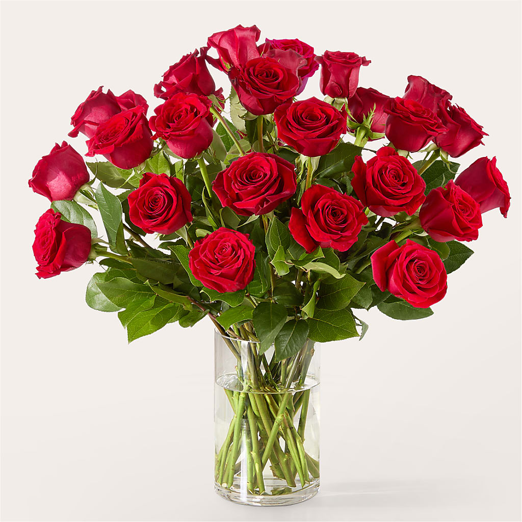 The One Red Rose Bouquet – TOWN CENTER FLORIST & GIFTS INC, Orlando FL