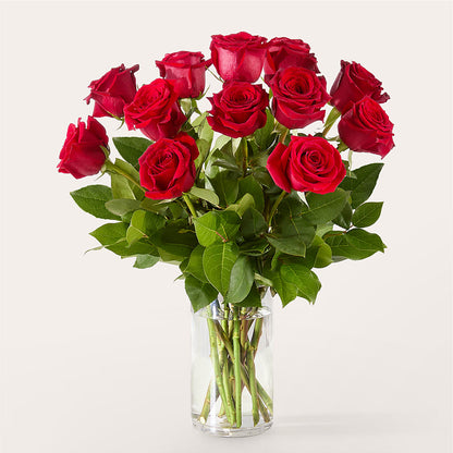 The One Red Rose Bouquet – TOWN CENTER FLORIST & GIFTS INC, Orlando FL