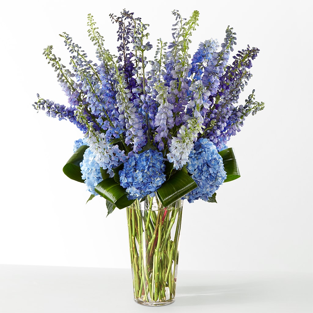 The Editorial – TOWN CENTER FLORIST & GIFTS INC, Orlando FL