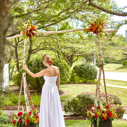 Arbor of Love Archway – TOWN CENTER FLORIST & GIFTS INC, Orlando FL