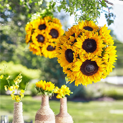Sublime Garden Hanging Arrangement – TOWN CENTER FLORIST & GIFTS INC, Orlando FL